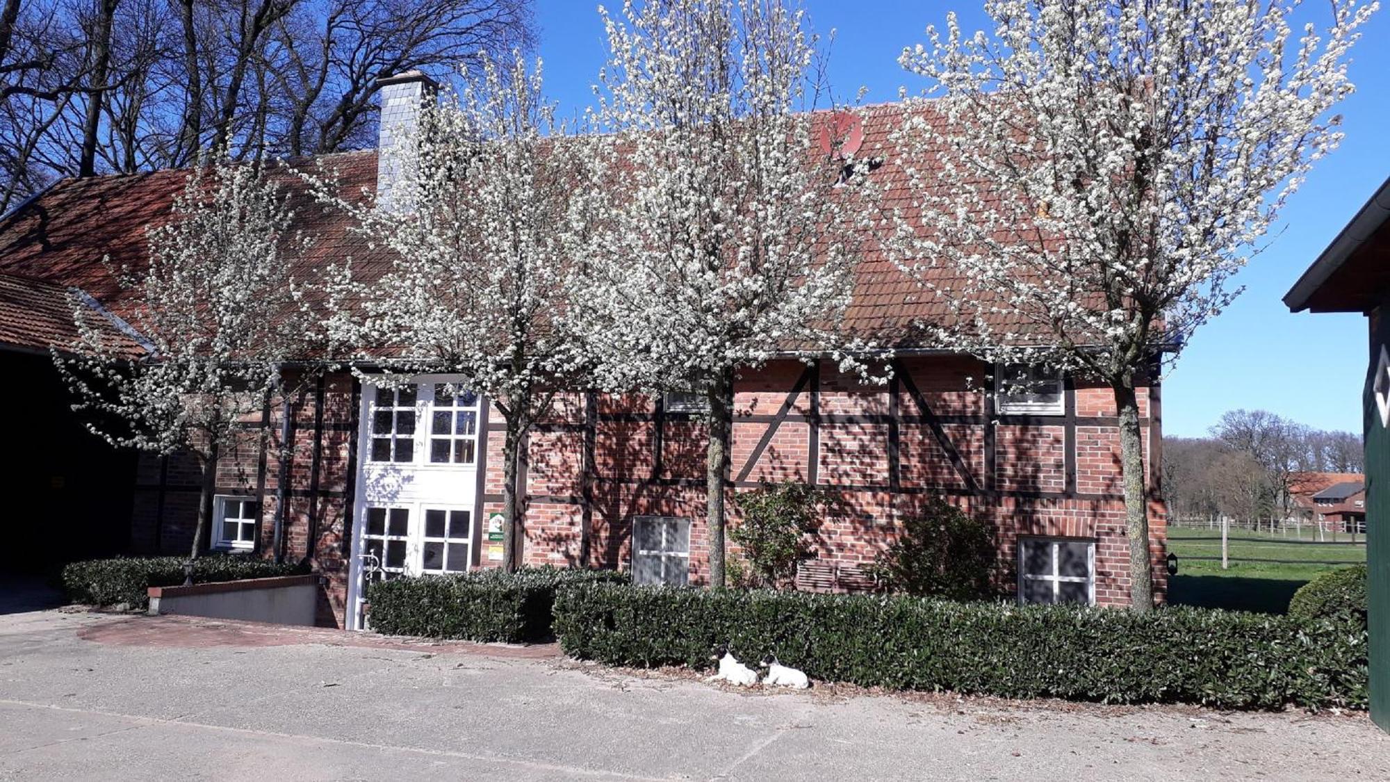 Landhaus Am Esch Warendorf Luaran gambar