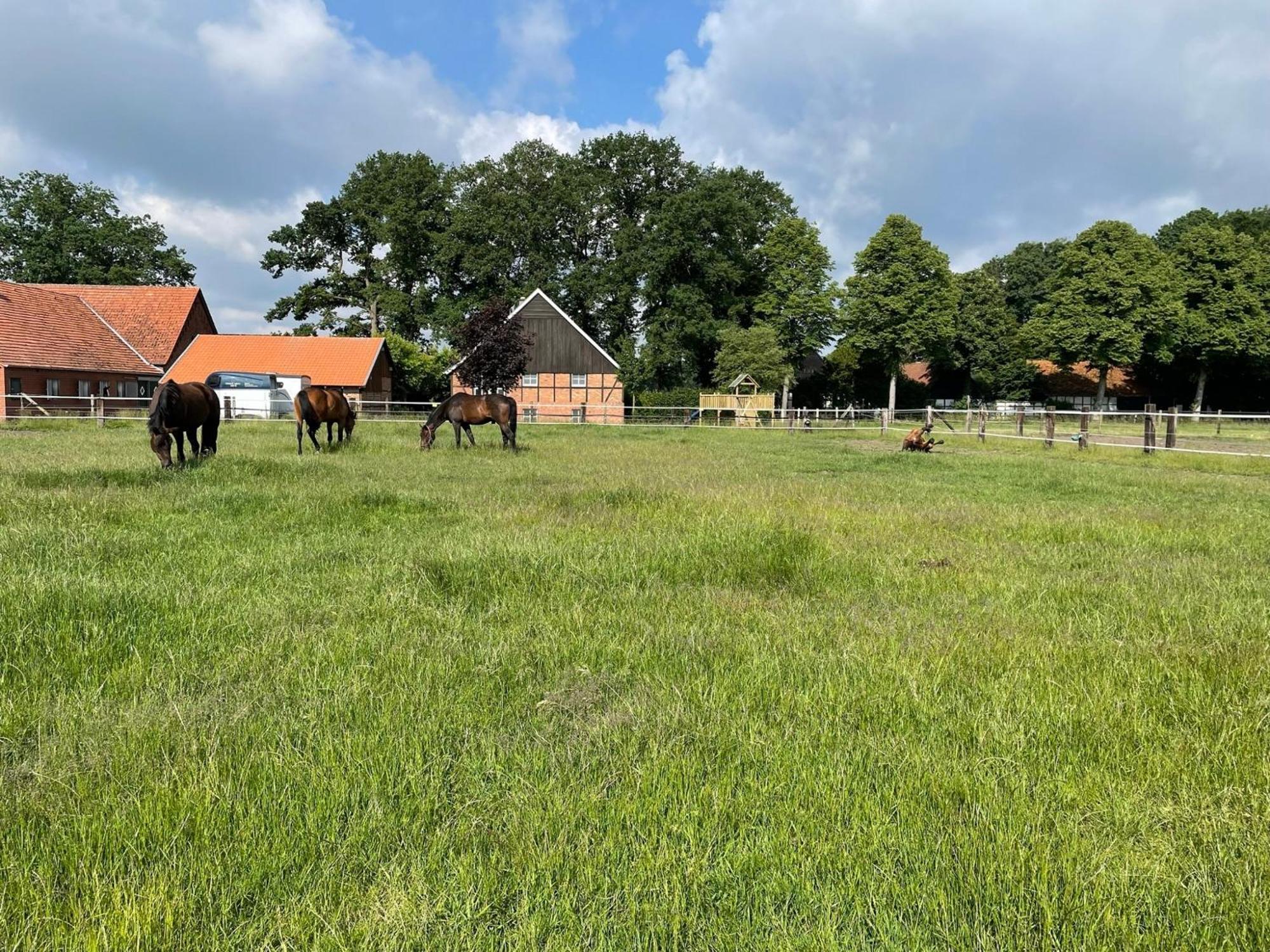 Landhaus Am Esch Warendorf Luaran gambar